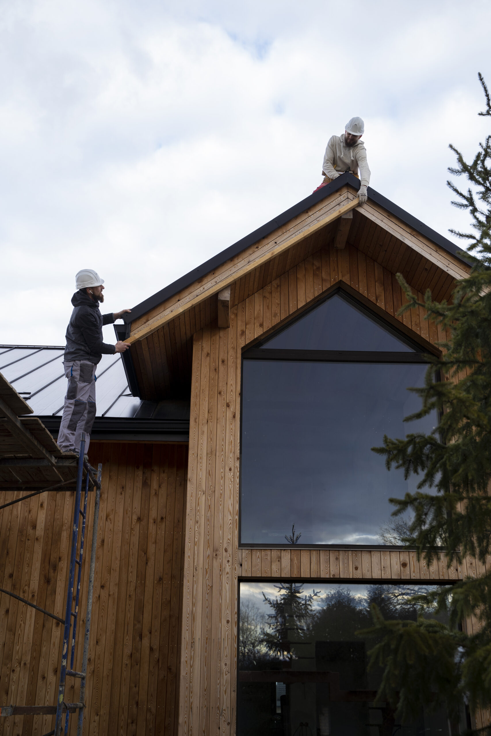 Skydda ditt hem frå termity